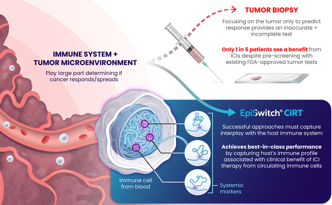 Immune System + Tumor Micro Environment