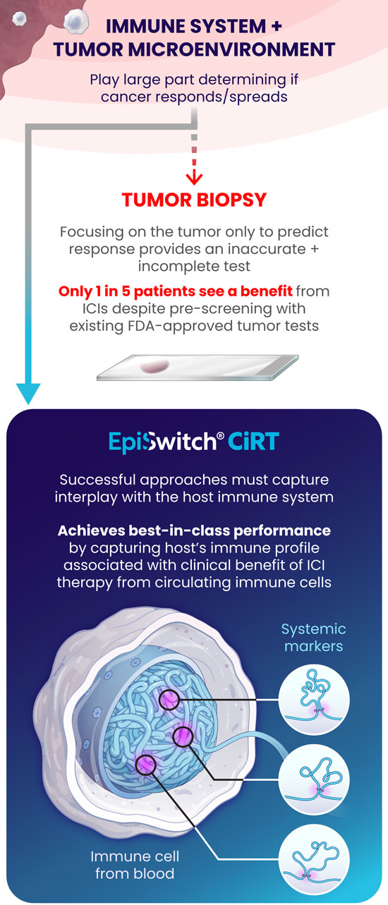 Immune System + Tumor Micro Environment
