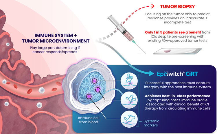 Immune System + Tumor Micro Environment