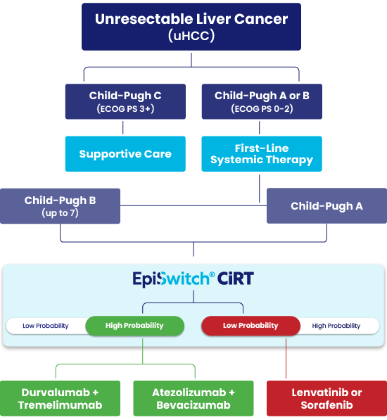 Graph illustrating how CiRT supports first line treatment decision making in unresectable liver cancer patients.